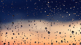 macro photography of water dews on glass panel, rain, window, water drops, water on glass