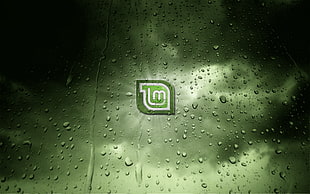 green and white digital wallpaper, Linux, Linux Mint, GNU HD wallpaper