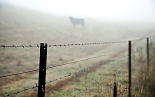 photo of barbed wire fence on field