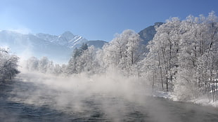 body of water surrounded by trees with mist under blue sky