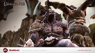 Dragon Ace game application, Dragon Age, Dragon Age: Origins HD wallpaper