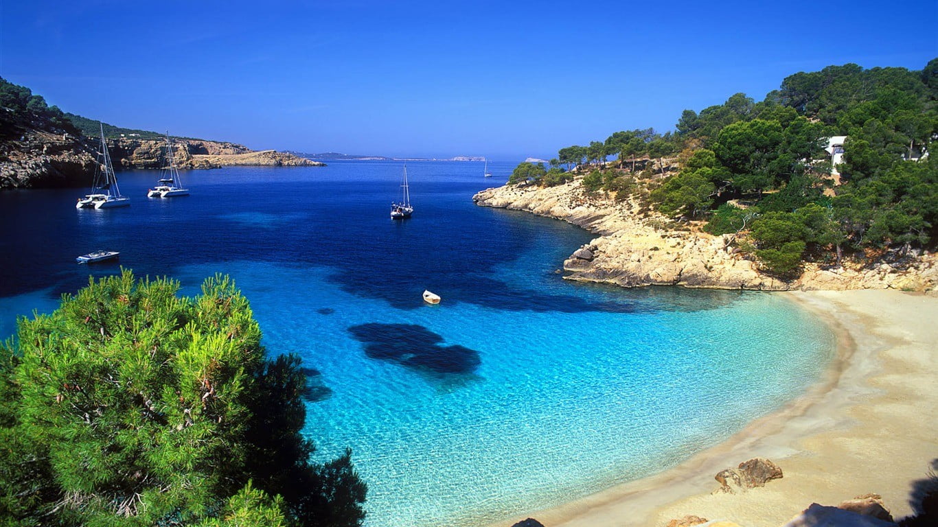 aerial view photo of coastline, beach, sea, boat, landscape