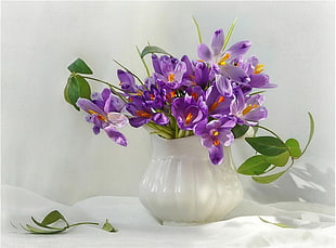 purple flowers with white surface