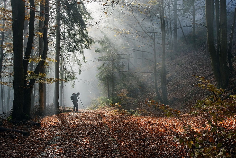 man on forest during daytime HD wallpaper