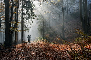man on forest during daytime