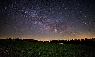 green grass field under starry night