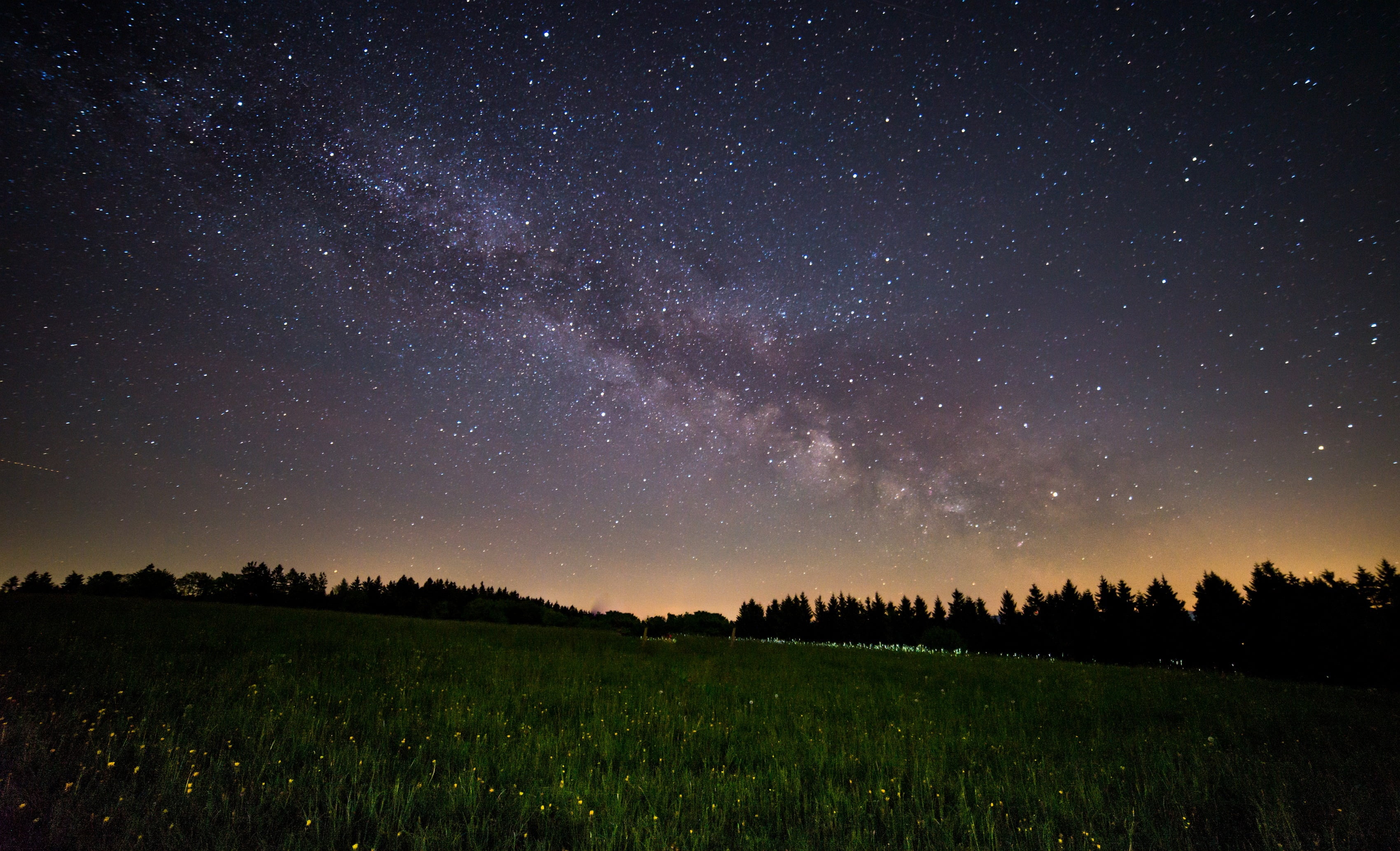 grass field at night