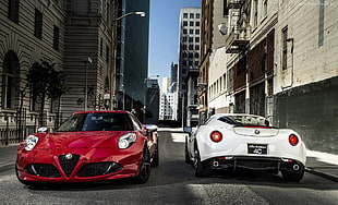 two white and red muscle cars, Alfa Romeo, Alfa Romeo 4C, car
