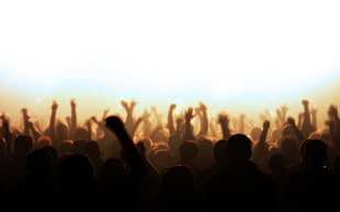 people partying, people, crowds, arms up HD wallpaper