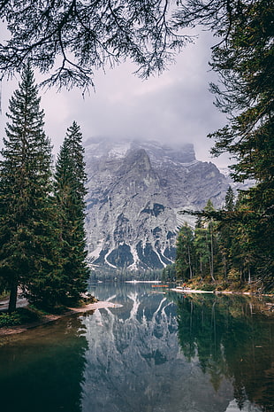 mountain alps near body of water, nature, trees, water, mountains