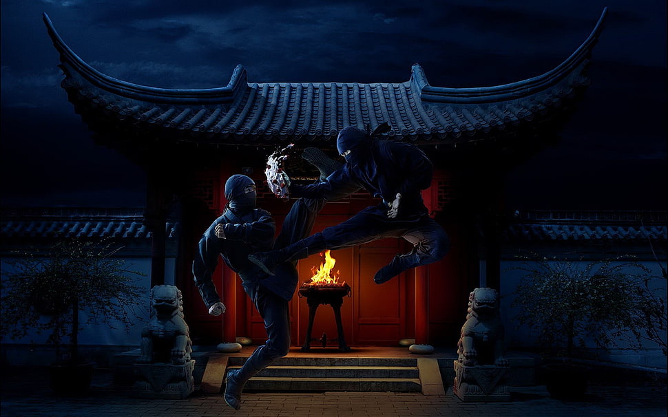 two ninja fighting digital wallpaper, ninjas, warrior, fantasy art HD wallpaper
