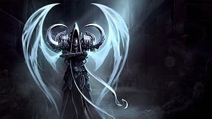 anime character illustration, video games, Diablo, heroes of the storm, Diablo III
