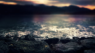 closeup photo of rocks near body of water at dusk