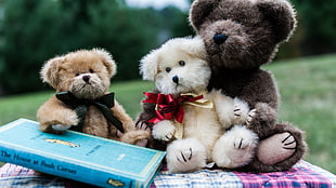three brown bear plush toys, teddy bears