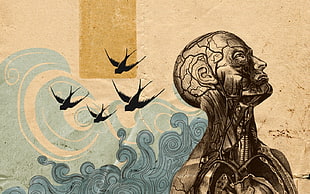 human illustration painting, artwork, swallow (bird), skull HD wallpaper