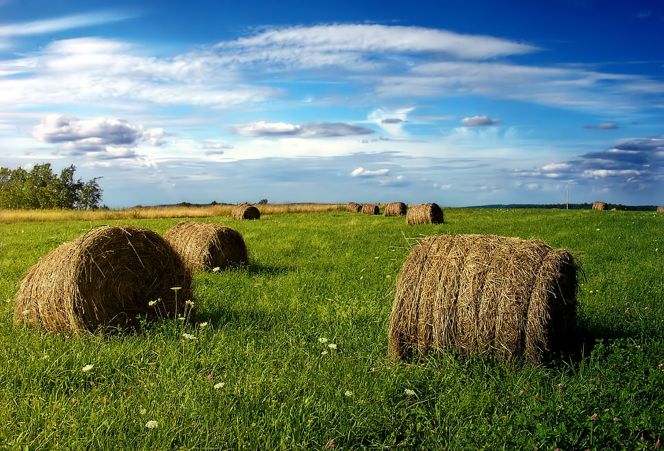 three brown high bale under blue sky HD wallpaper