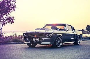 photo of vintage black muscle car during sunset beside body of water HD wallpaper