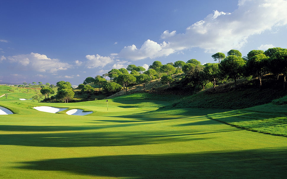green grass and trees, golf course HD wallpaper