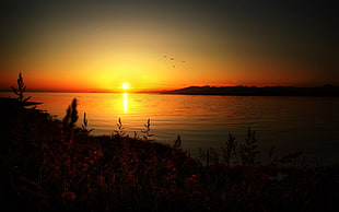 photography of sunset near body of water HD wallpaper