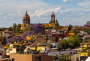 city houses and tall trees during daytime, san miguel allende