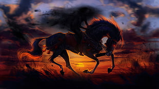 photography of brown horse running during sunset