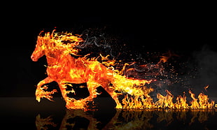 galloping fire horse HD wallpaper
