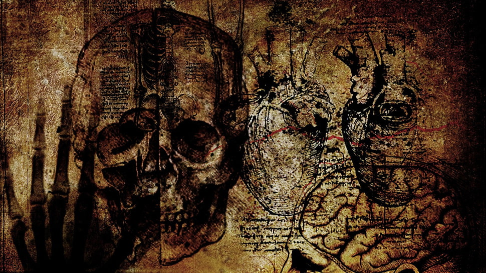 skull and human heart poster, grunge, skull HD wallpaper
