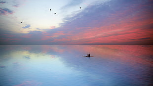 silhouette of birds, sea