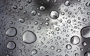 wet glass, water on glass, monochrome, water drops HD wallpaper