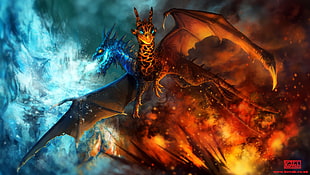 Dota 2 Twin Head dragon illustration, Dota 2, Dota, Valve, Valve Corporation