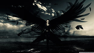 male angel digital wallpaper, wings, photo manipulation, birds