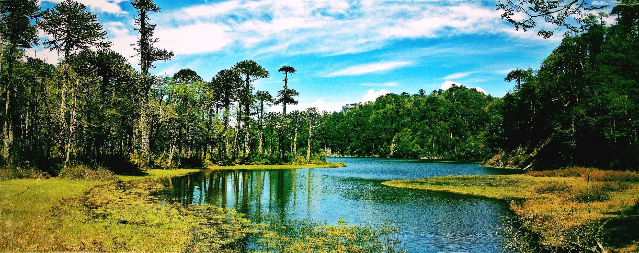 river in forest, lake, Chile, forest, clouds