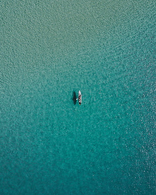 white kayak, nature, water, boat, canoes HD wallpaper