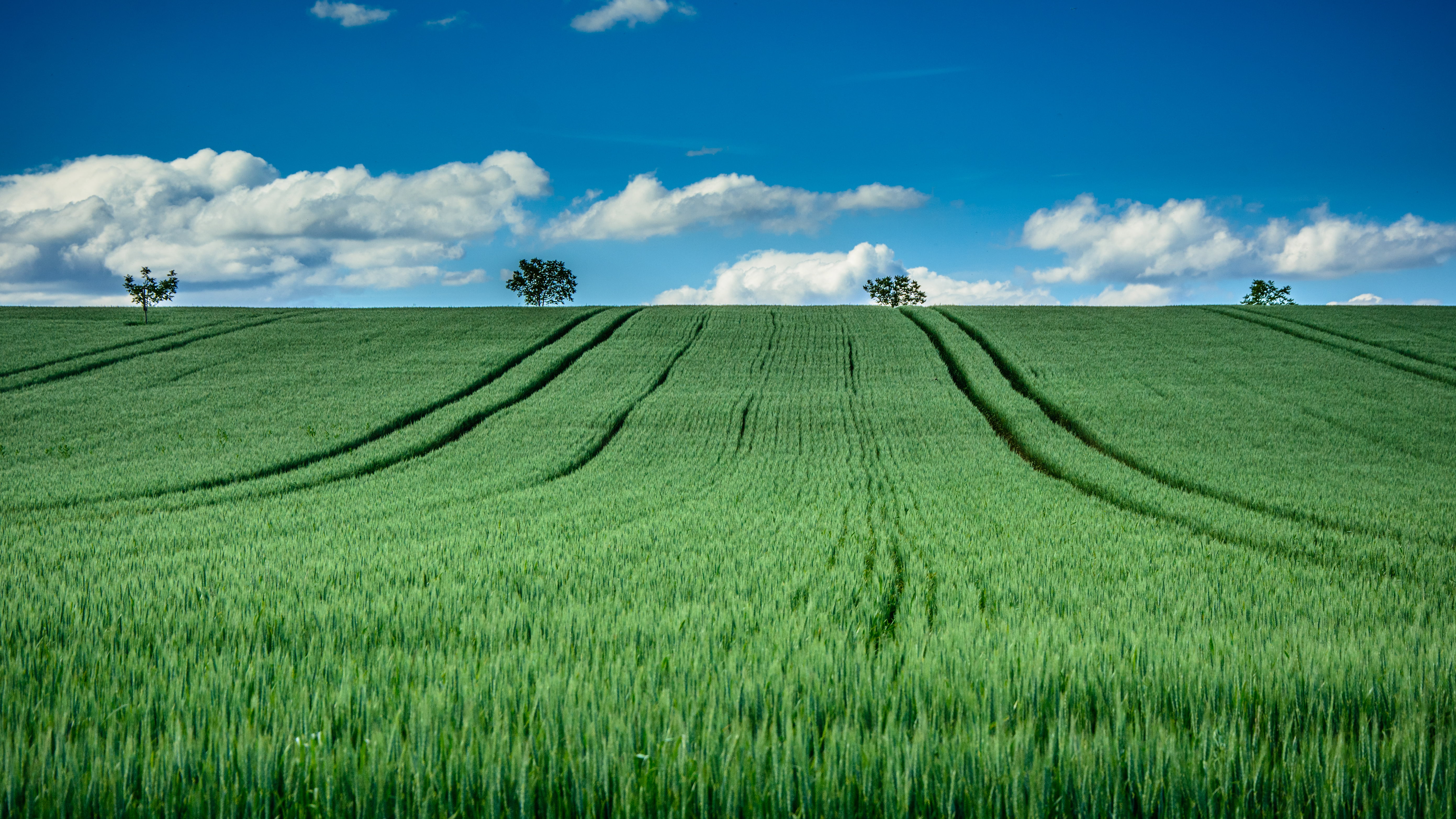 green grass field under cloudy blue sky