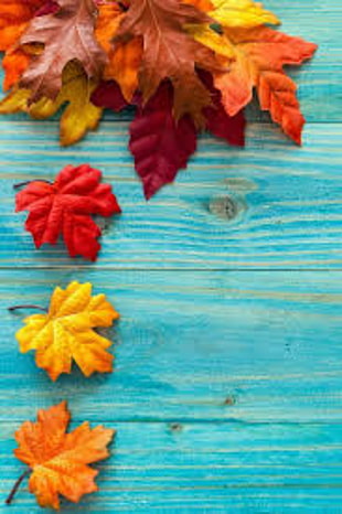 several red-and-yellow leaves on teal wooden board