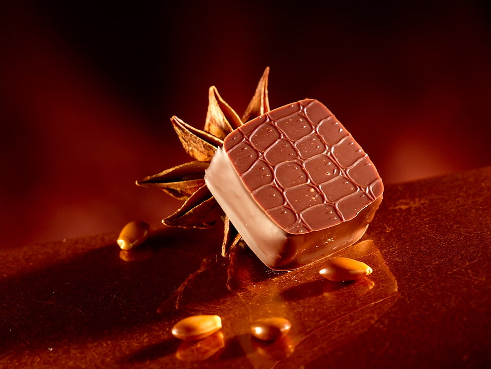 chocolate beside pine cone HD wallpaper