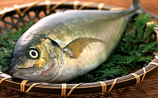 close up photography of raw fish on brown basket