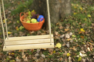 depth of field photo of brown pallet swing