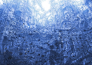 gray, blue, and white abstract painting, fish, artwork, blue