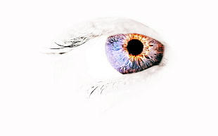 person's eye, eyes, negative space