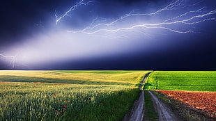thunder during night time HD wallpaper