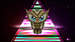 brown owl illustration, owl, triangle, colorful, space HD wallpaper