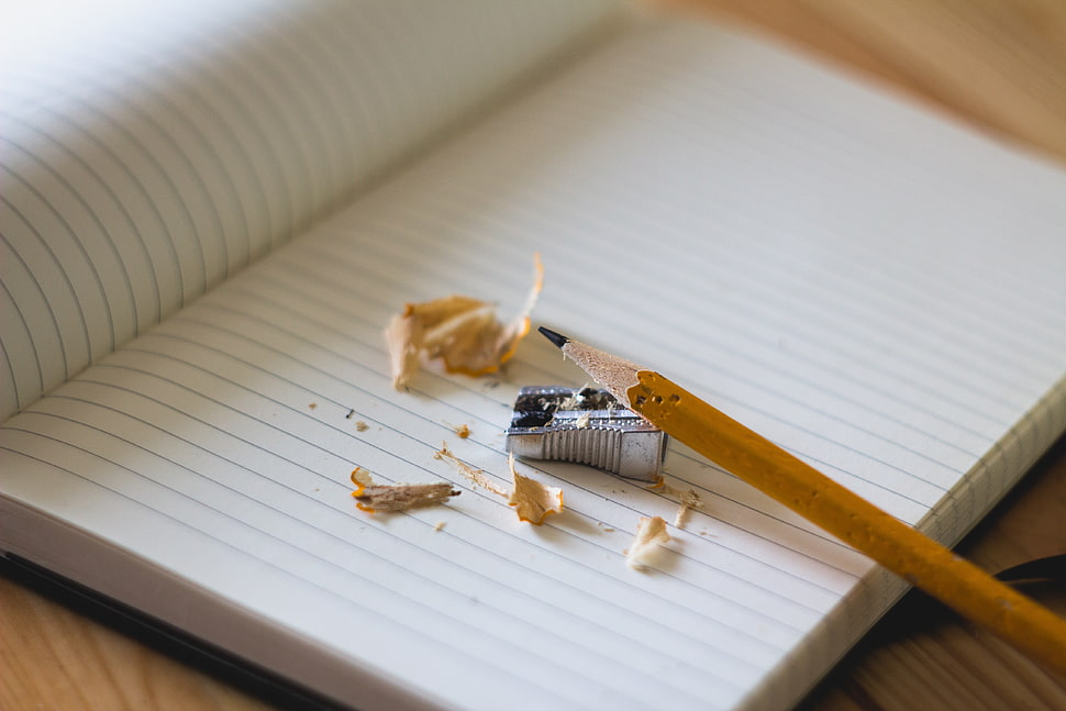 brown pencil with sharpener HD wallpaper