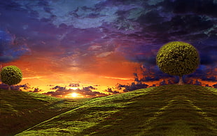 green hill with tree under golden hour illustration, nature, clouds