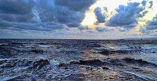 photo of sea, irvine