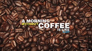 text, coffee beans, coffee, quote