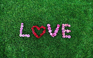 red and white Love floral artwork on grass HD wallpaper