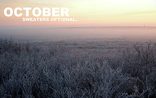 october sweaters optional text overlay, october, month HD wallpaper