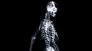 skeleton wearing headphones wallpaper HD wallpaper