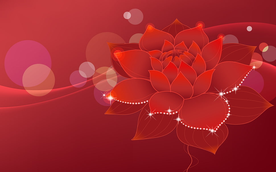 red Dahlia flower digital wallpaper HD wallpaper